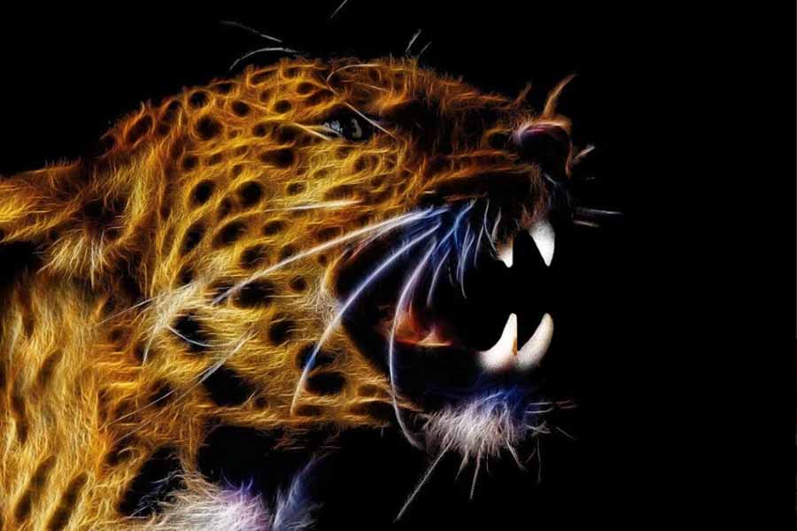 Lessor known facts about Shyamakanta Bandopadhyay aka Paramhangsa Soham Swami