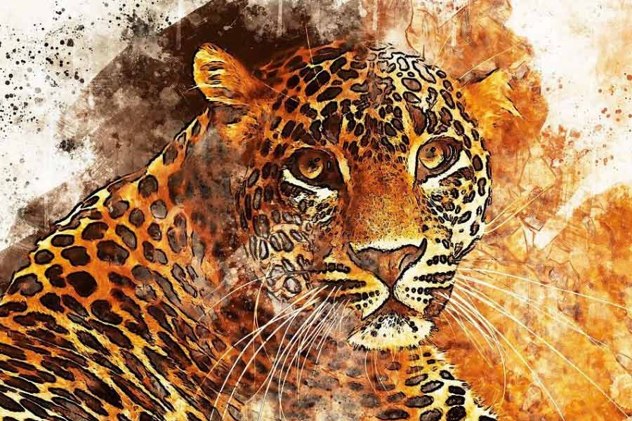 Lessor known facts about Shyamakanta Bandopadhyay aka Paramhangsa Soham Swami