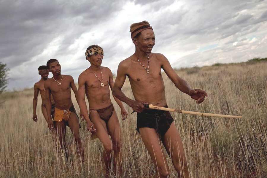 Botswana and Germany are feuding over elephants 