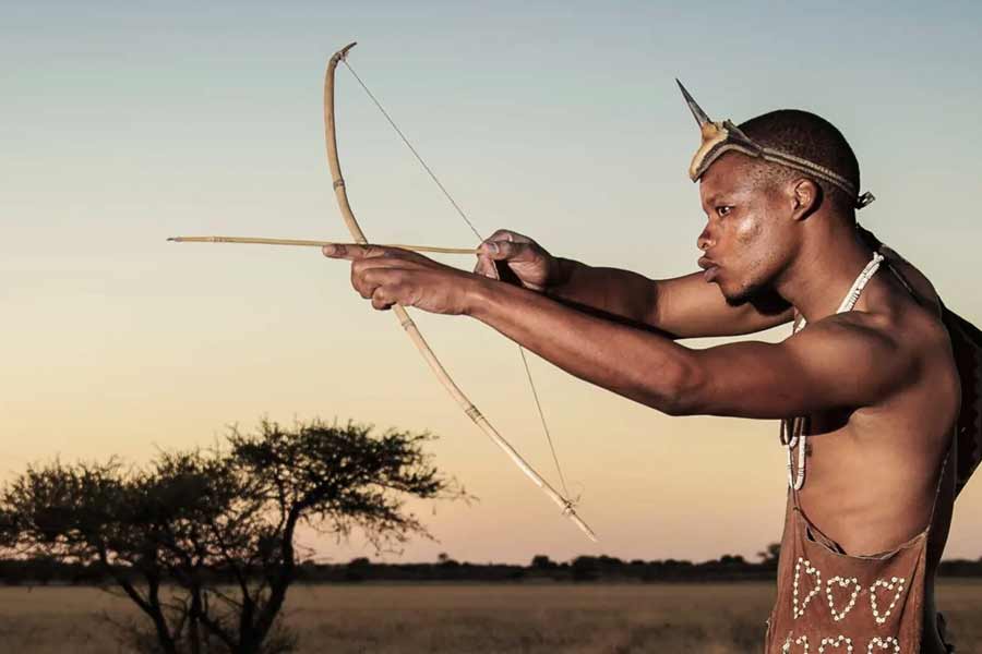 Botswana and Germany are feuding over elephants 