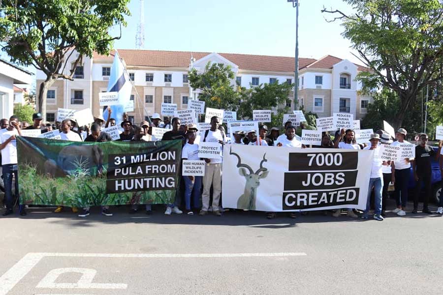 Botswana and Germany are feuding over elephants 