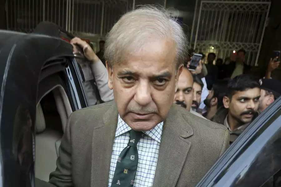 image of sharif