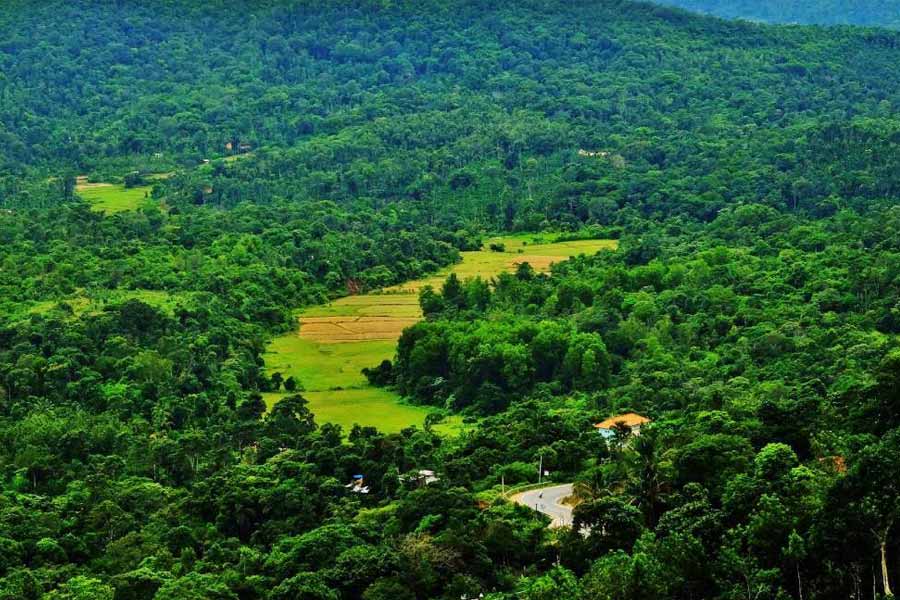 Hill stations to visit during the summer vacation 