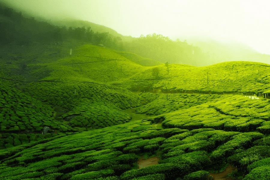 Hill stations to visit during the summer vacation 