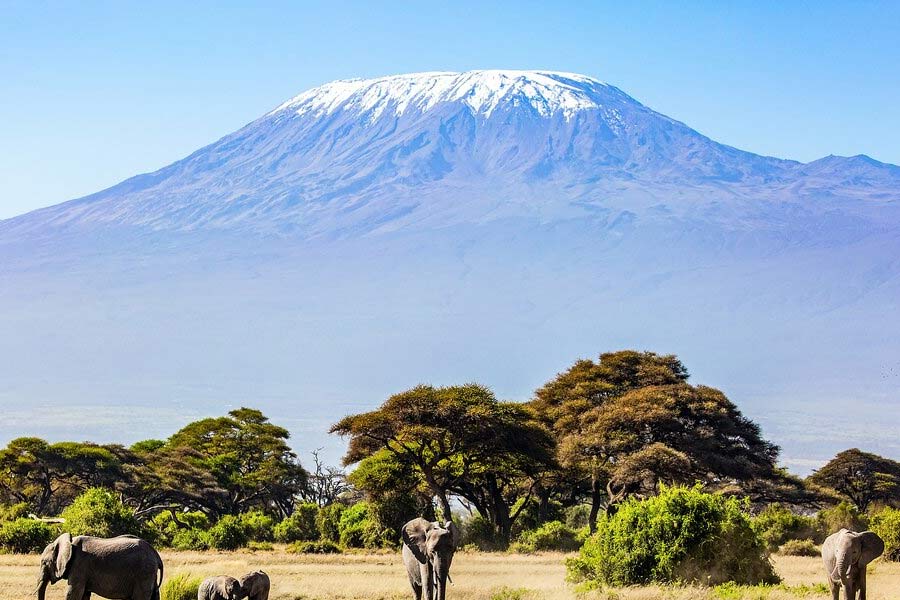 All you need to know about Gopi Thotakura, first Indian to venture into space as a tourist