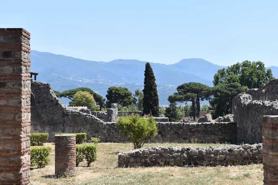 Stunning frescoes of Greek mythological characters found in ancient roman town Pompeii 