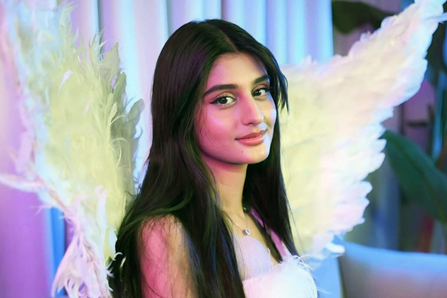 অর্থাৎ, প্রতি বছর ৩৫ লক্ষ টাকা থেকে সর্বোচ্চ পাঁচ কোটি টাকা ইউটিউব থেকে আয় করেন পায়েল।