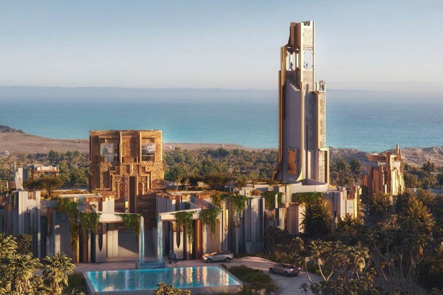 পরিবেশবিদেরা এই প্রকল্প নিয়ে ইতিমধ্যেই ক্ষোভপ্রকাশ করেছেন। তাঁদের অভিযোগ, নিওমের কারণে স্থানীয় বাস্তুতন্ত্র ক্ষতিগ্রস্ত হতে পারে। মরুভূমির এই পথ দিয়ে যাতায়াত করে পরিযায়ী পাখিরা। বহুতল গড়ে উঠলে তারা পথ ভুল করতে পারে।