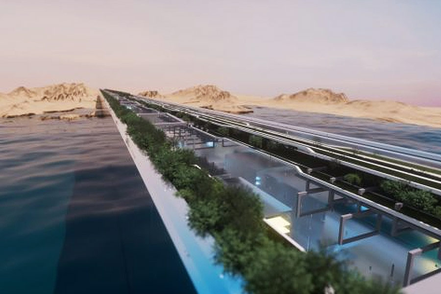 রিপোর্ট বলছে, প্রতি বছর শরৎকালে ইউরোপ থেকে আফ্রিকা যায় প্রায় ১০০ প্রজাতির ২১০ কোটি পরিযায়ী পাখি। সৌদির তাবুক অঞ্চল দিয়েই আফ্রিকা যায় তারা। নিওম তৈরি হলে পরিযায়ী পাখিদের পথে বাধা আসতে পারে। বহুতলে ধাক্কা খেয়ে বিপত্তিও ঘটতে পারে। এমনটাই আশঙ্কা করছেন পক্ষীবিদেরা।