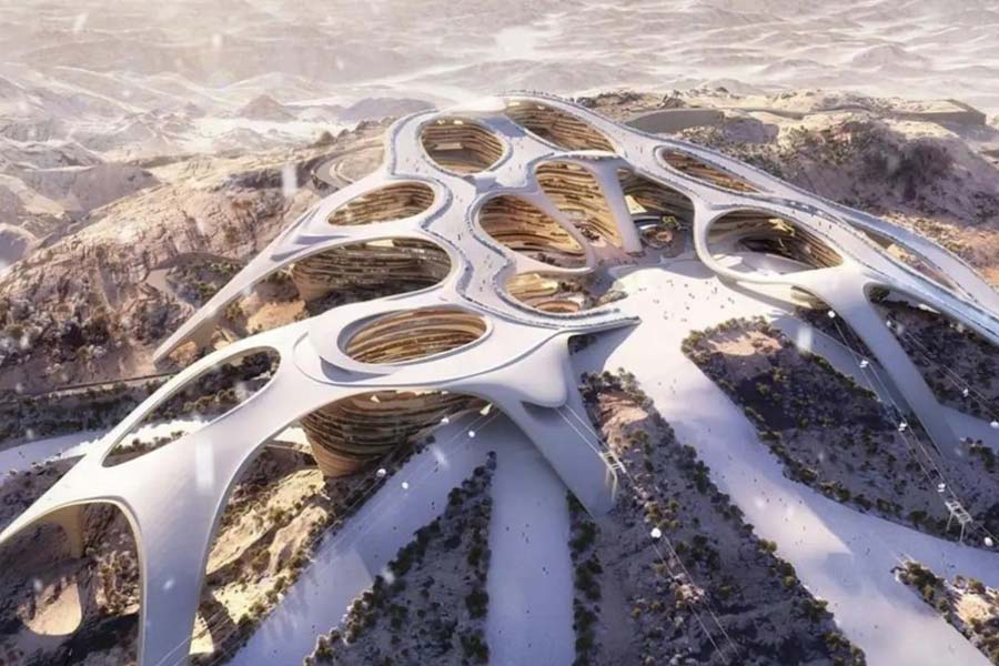 সৌদি প্রশাসনের দাবি, এই জনপদে কার্বন নিঃসরণ হবে শূন্য। তবে বিজ্ঞানীরা বলছেন, এমনটা আজকের পৃথিবীতে দাঁড়িয়ে সম্ভব নয়। তা ছাড়া বিশাল এই আধুনিক জনপদ তৈরি করতে গেলে এমনিতেই প্রচুর পরিমাণে কার্বন নিঃসরণ হবে। দাবি, ১৮০ কোটি টন কার্বন-ডাই-অক্সাইড নিঃসৃত হতে পারে, যা প্রকৃতির যথেষ্ট ক্ষতি করবে।