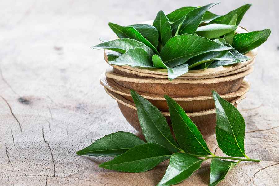 Five health benefits of adding curry leaves to detox water