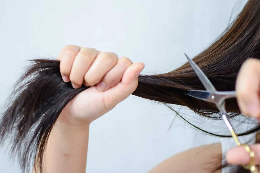 Image of Hair cutting