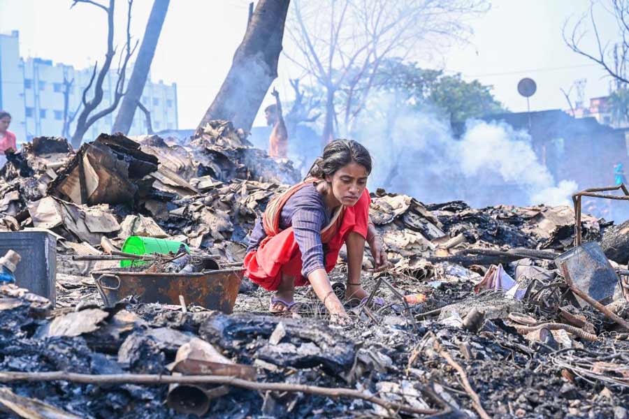 Victims of the devastating fire in Dum Dum slum are trying find their belongings and their beloved pets