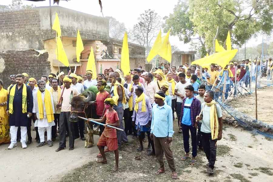 ‘কাড়া’ নিয়ে মিছিল। পুরুলিয়া ২ ব্লকের গোলামারা গ্রামে।