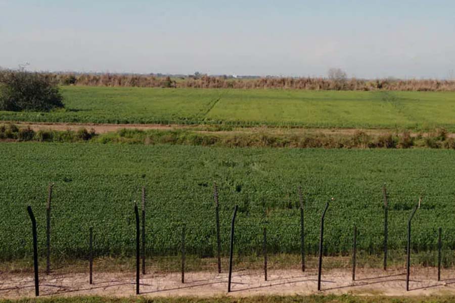 All you need to know about Sarabjit Singh