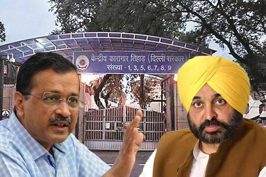 Punjab CM Bhagwant Mann meets Delhi CM Arvind Kejriwal in Tihar jail