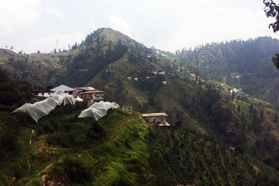 Best places you can visit in Shimla during Summer Vacation 