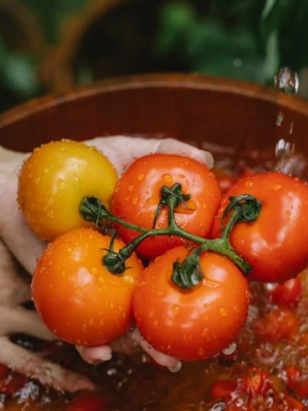 Know The advantages and disadvantages before eating Tomato dgtl