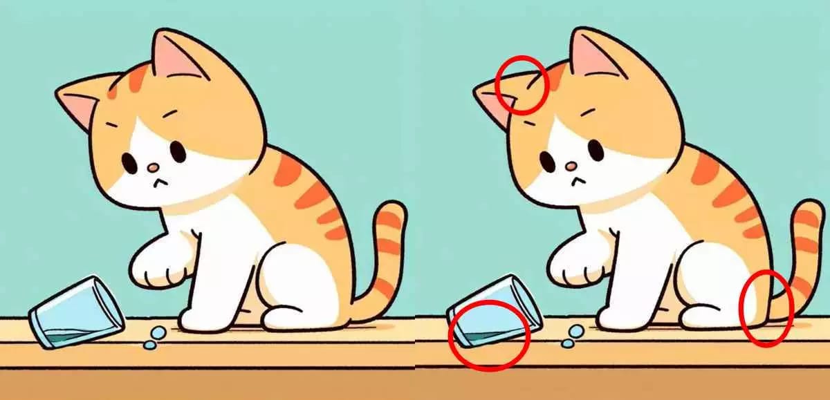 রইল সমাধান।