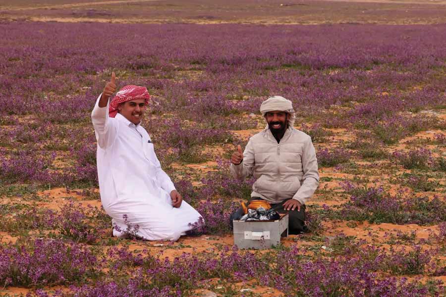 কিন্তু কেন হঠাৎ এমন হল? সাম্প্রতিক কালে প্রচুর বৃষ্টি হয়েছে ওই মরুভূমিতে। সে কারণে মক্কা এবং মদিনার মাঝে মরুভূমির এই অংশ সবুজ হয়ে উঠেছে। বন্ধ্যা জমিতে গজিয়ে উঠেছে ঘাস।