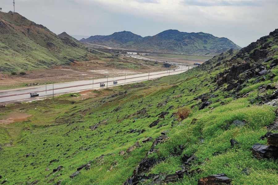 সমাজমাধ্যম ব্যবহারকারীদের একাংশ আবার দাবি করেছেন, মুসলিম ধর্মগুরুর আশীর্বাদেই মরুভূমি হয়েছে সবুজ। শতাধিক বছর আগে নাকি ধর্মগুরুরা বলে গিয়েছিলেন এমনটা হতে পারে।