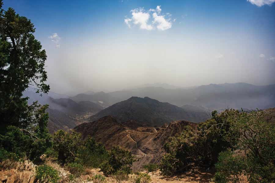 বিশেষজ্ঞেরা মনে করছেন, জলবায়ুর পরিবর্তনই এর প্রধান কারণ। সাম্প্রতিক অতীতে তাই বার বার সবুজ হয়ে উঠছে সৌদির মরুভূমি। ২০২৩ সালের জানুয়ারিতেও এই ঘটনা দেখা গিয়েছিল।