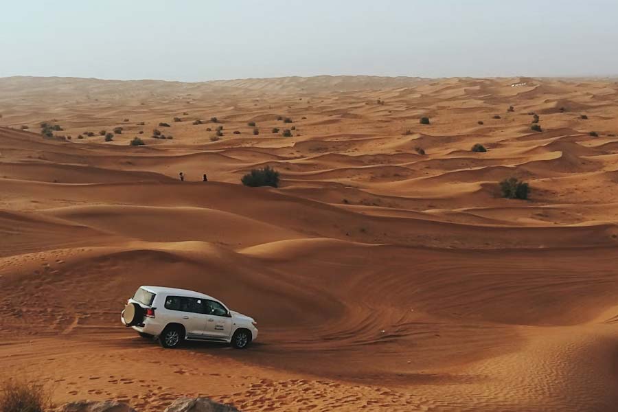 পাশাপাশি, বনভূমি সংরক্ষণেরও চেষ্টা চলছে। সৌদি আরবে ২৭ লক্ষ হেক্টর বনভূমি রয়েছে। কোনও ভাবেই যেন সেগুলিকে মরুভূমি গ্রাস করতে না পারে, সে জন্য নানা পদক্ষেপ করা হয়েছে।