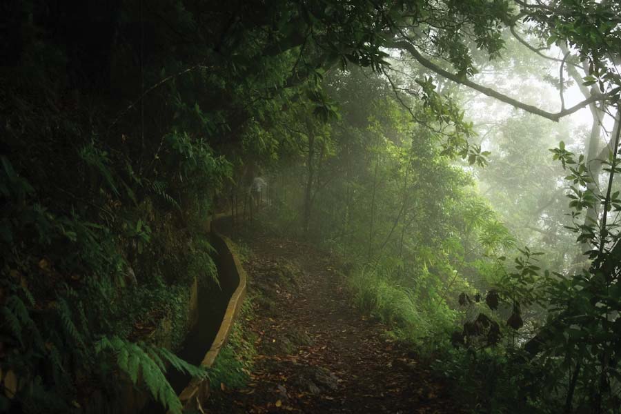 সৌদি আরবে ১৫টি এলাকা তাদের জীববৈচিত্রের জন্য সংরক্ষণের ব্যবস্থাও করা হয়েছে। তার মধ্যে ১২টি স্থলভাগে এবং তিনটি সমুদ্রের নীচে রয়েছে। দিনরাত চেষ্টা করে সৌদি প্রশাসন যখন বনভূমির আয়তন বৃদ্ধি করছে, তখনই মরুভূমির মাঝে তৈরি হল মরূদ্যান।