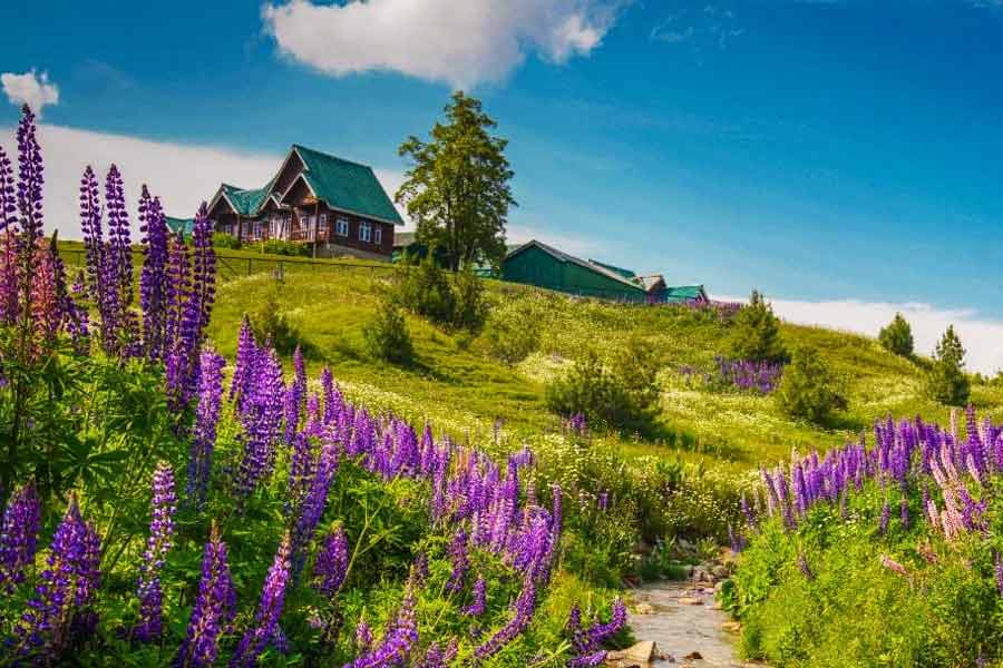 Five activities you should do while exploring Gulmarg in summer 