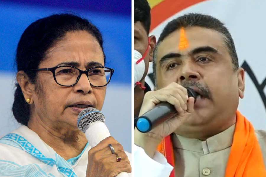 Mamata Banerjee and Suvendu Adhikari have election campaigns in different areas of Malda