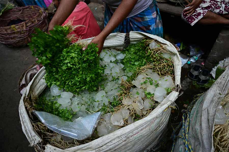 Vegetables getting damaged at crops led to high price of vegetables in market