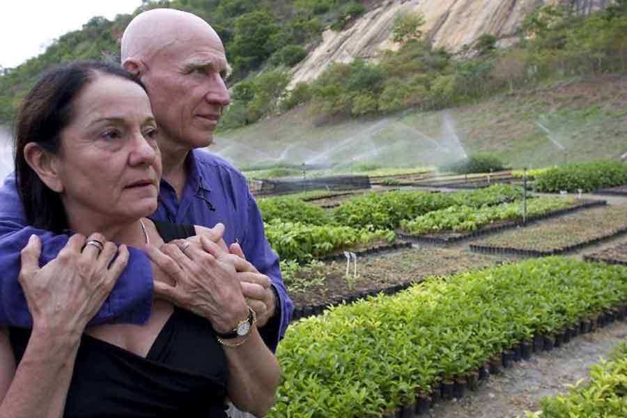 সেবাস্টিয়াও সাক্ষাৎকারে জানিয়েছিলেন, ব্রাজিলের যে এলাকায় তিনি থাকতেন সেখানে বিশাল অরণ্য ছিল। কিন্তু ১৯৯৪ সালে সেখানে গিয়ে তিনি দেখেছিলেন, পুরো এলাকা খাঁ খাঁ করছে। অরণ্য কোথায়! একটি গাছও নেই সেখানে।