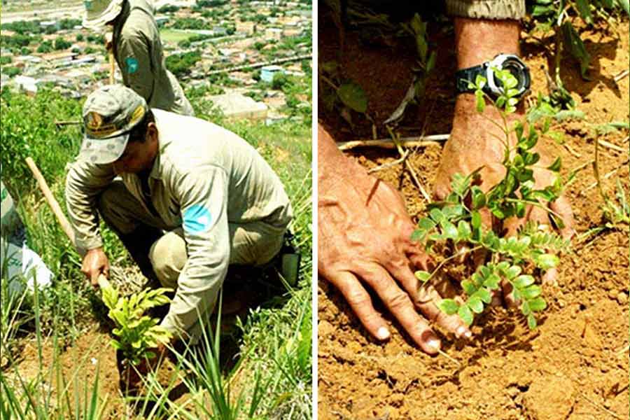 ১৯৬৭ সালে লেইলা ওয়ানিক সালগাদোকে বিয়ে করেছিলেন সেবাস্টিয়াও। তথ্যচিত্রনির্মাতার পাশাপাশি লেইলা এক জন পরিবেশবিদও। ব্রাজিলের সেই শূন্য এলাকায় আবার অরণ্য তৈরি করতে উদ্যোগী হন তিনি।