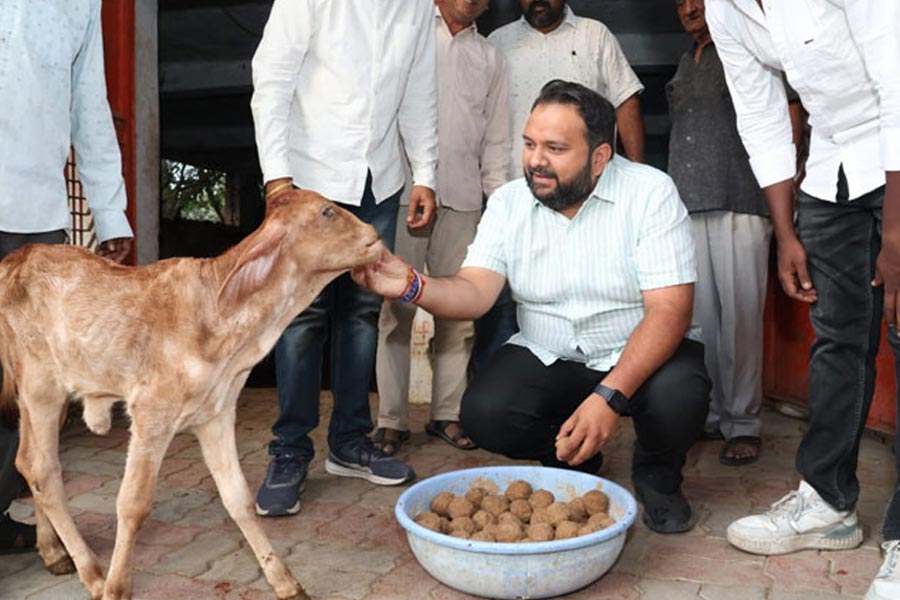 Bjp’s youngest candidate in Gujarat gets Vadodara ticket