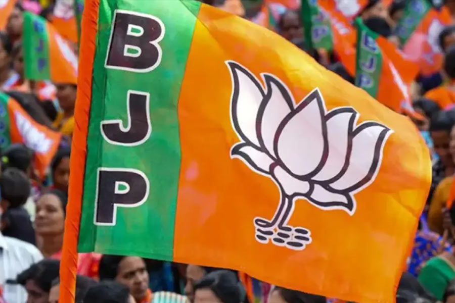 Bjp’s youngest candidate in Gujarat gets Vadodara ticket