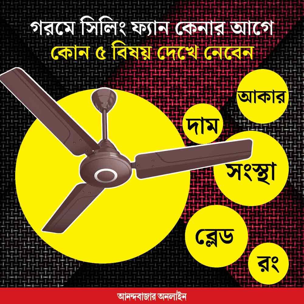 Tips for Buying a Ceiling Fan