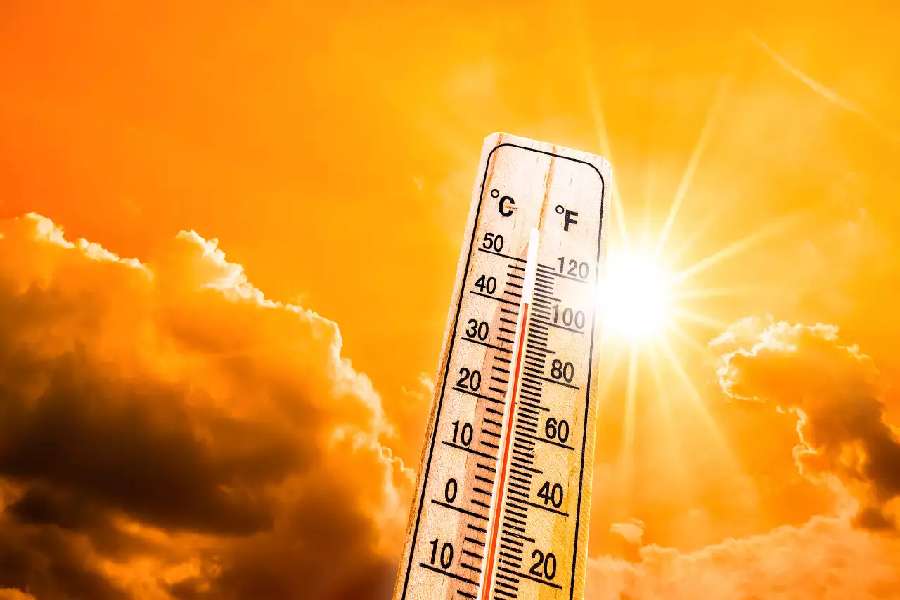 How extreme heat impact your health in many ways dgtl