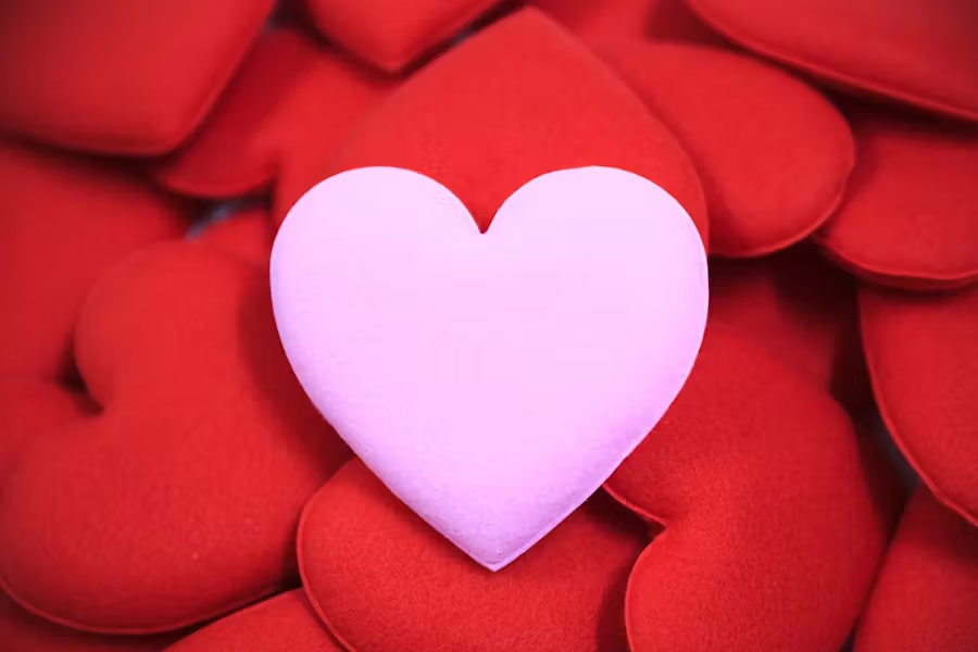 48 year old lawyer’s 104 old girlfriend dies, know about their love story