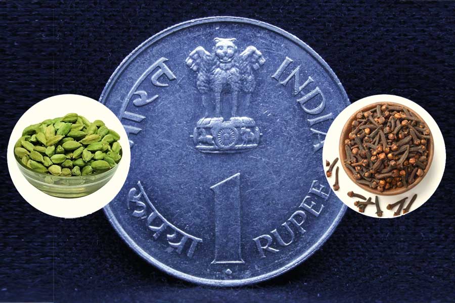 Zero income even with hundreds of efforts? With one rupee coin, cloves, cardamom Lakshmi-worship brings back luck