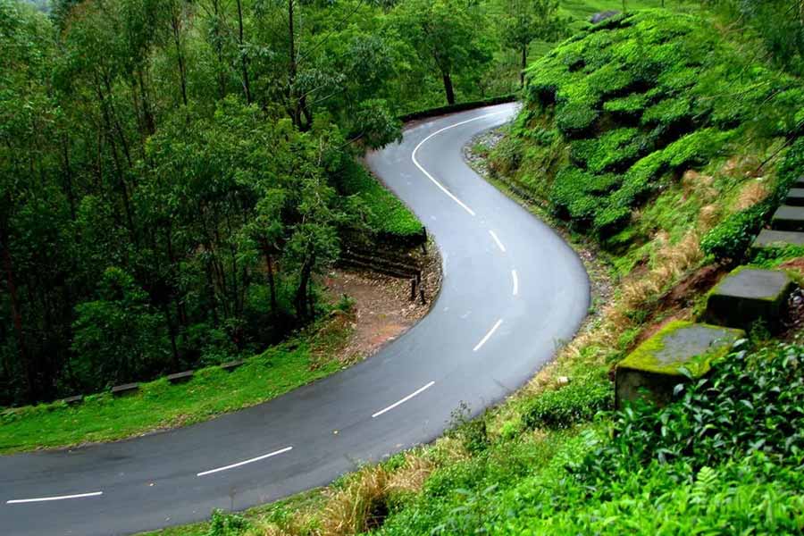 এ ছাড়া এফআরআই দেহরাদূন মিউজ়িয়াম, মালসি ডিয়ার পার্ক, বুদ্ধমন্দিরেও ঢুঁ মারতে পারেন। দেহরাদূন ঘোরার জন্য হাতে অন্তত দু’দিন সময় রাখতেই হবে। প্রকৃতির শান্ত ও স্নিগ্ধ রূপ উপভোগ করার অন্যতম সেরা ঠিকানা দেহরাদূন।