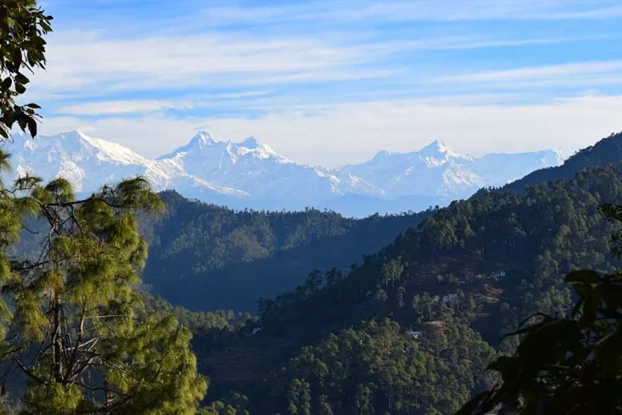 বিনসর: উত্তরাখণ্ডে গেলে ঘুরে আসতে পারেন বিনসরের ঘন জঙ্গল থেকে। এখানে অরণ্য পথে চলার মাঝেই অহরহ বিভিন্ন জন্তু-জানোয়ারের ডাক কানে আসে। ভাগ্যে থাকলে দিনের আলোতে দেখা মিলতে পারে হরিণ বা অন্য কোনও প্রাণীর। 