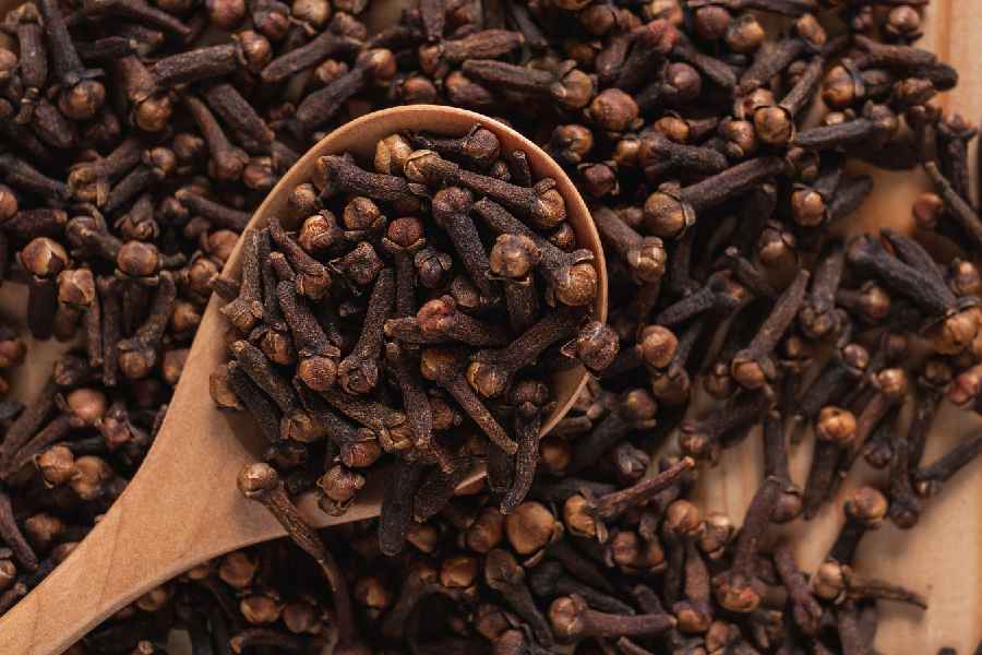 What happens to your body when you chew clove or laung daily