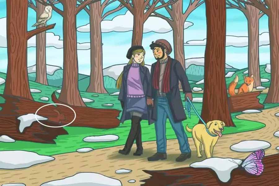 সমাধান।