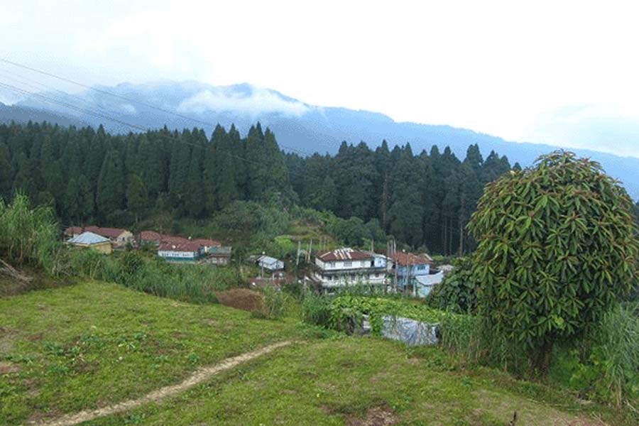 ছিমছাম সবুজে মোড়া বাগোড়া পক্ষীপ্রেমীদের কাছে বেশ জনপ্রিয়।