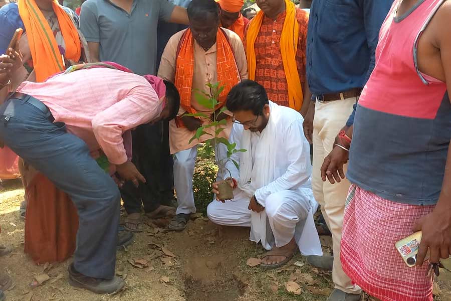 Ghatal BJP candidate Hiran Chatterjee plants tree while campaign, TMC criticizes dgtld