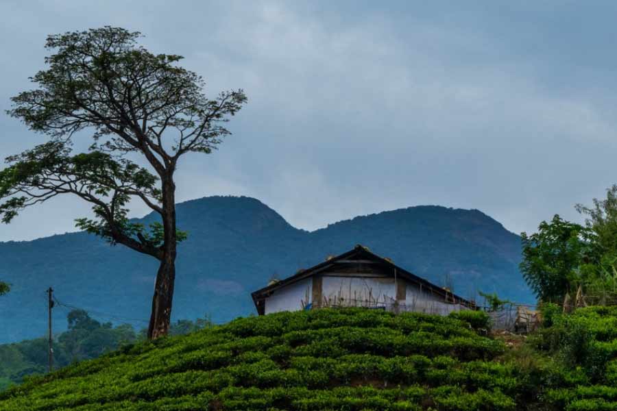 What is Dark Tourism and why Kerala Police is warning people about it