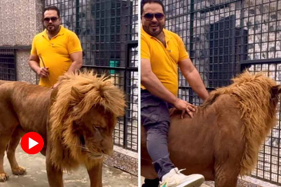 Pakistani man rides lion, video went viral on internet