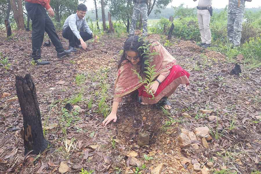 মুকুটমণিপুরে বৃক্ষরোপণ।