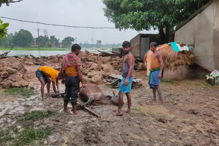 গোয়ালঘর ভেঙে মৃত্যু হয়েছে গরুর। দমদমা পঞ্চায়েতের ধলটিকুড়ি গ্রামে। 