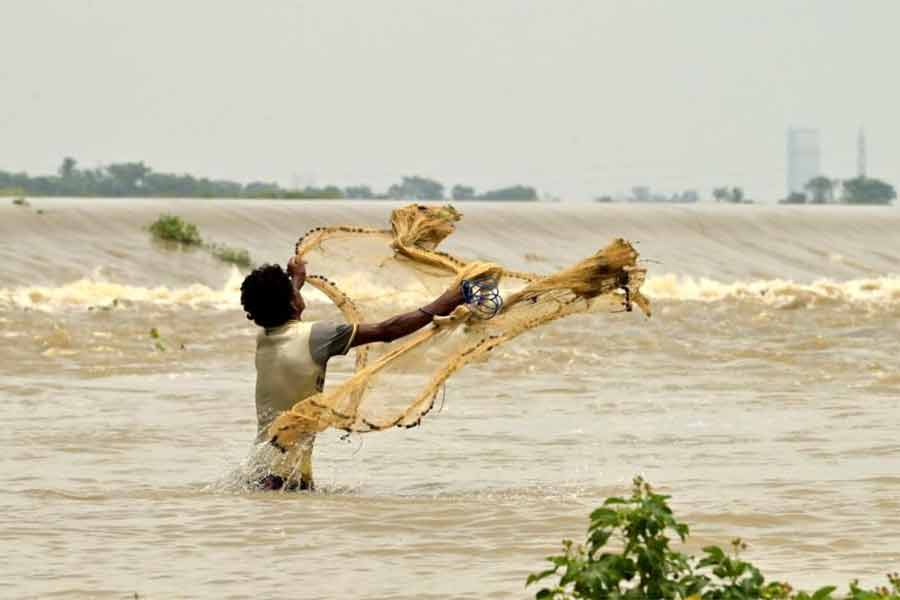 বিপদ সীমার কাছাকাছি বইছে দামোদর নদ।